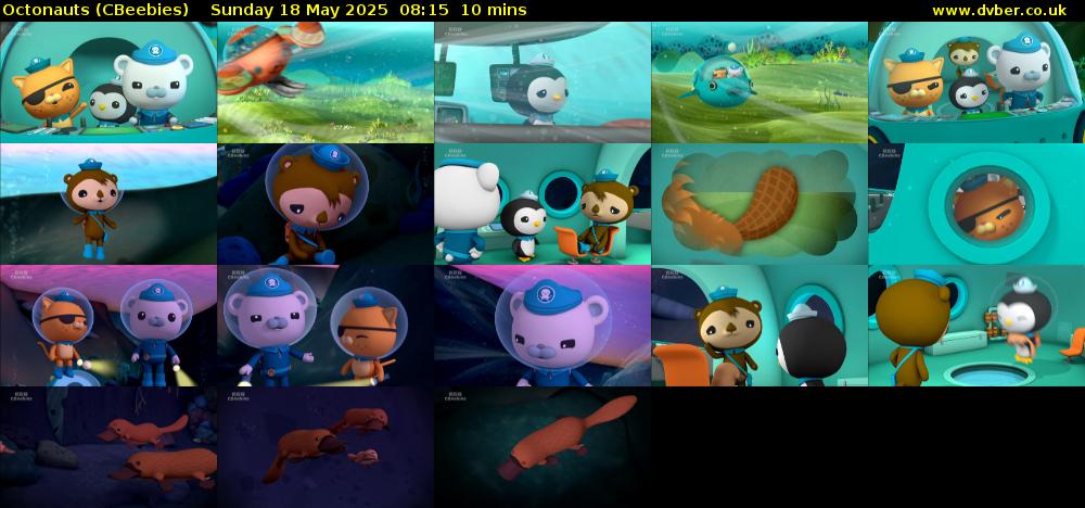 Octonauts (CBeebies) Sunday 18 May 2025 08:15 - 08:25