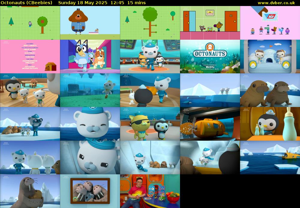 Octonauts (CBeebies) Sunday 18 May 2025 12:45 - 13:00