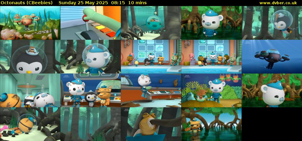 Octonauts (CBeebies) Sunday 25 May 2025 08:15 - 08:25