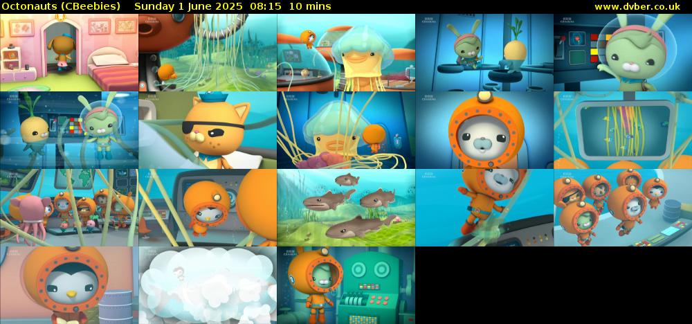 Octonauts (CBeebies) Sunday 1 June 2025 08:15 - 08:25