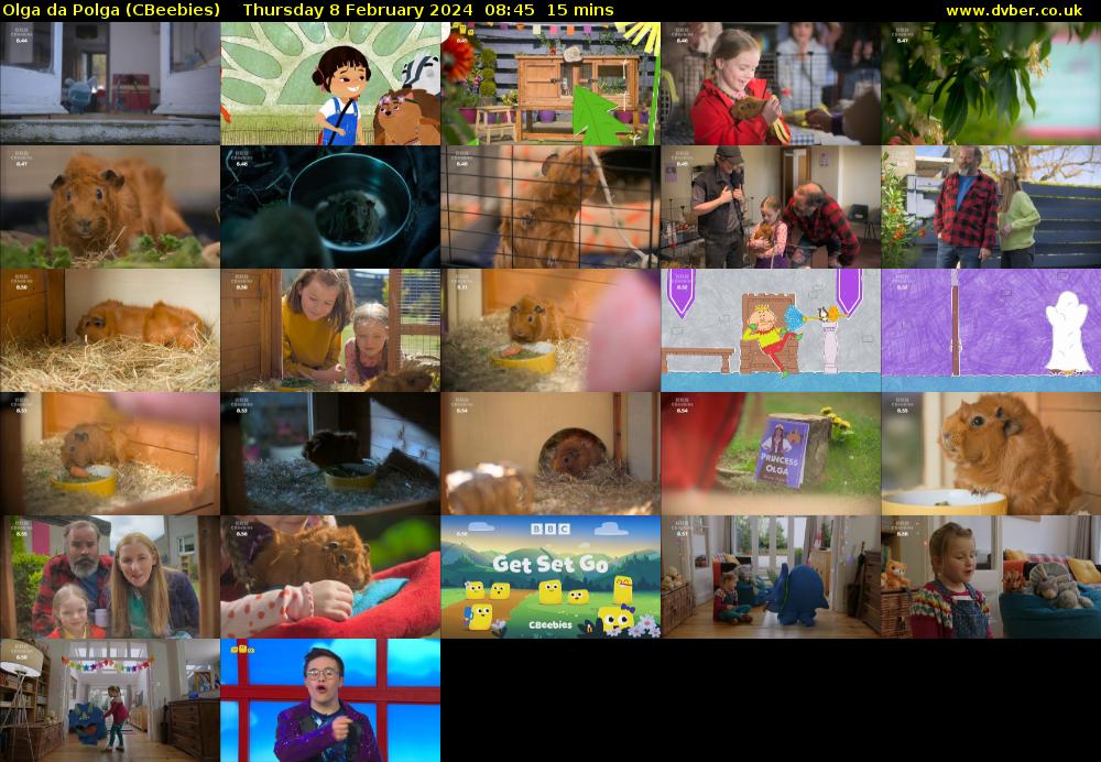 Olga da Polga (CBeebies) Thursday 8 February 2024 08:45 - 09:00