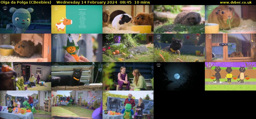 Olga da Polga (CBeebies) Wednesday 14 February 2024 08:45 - 08:55