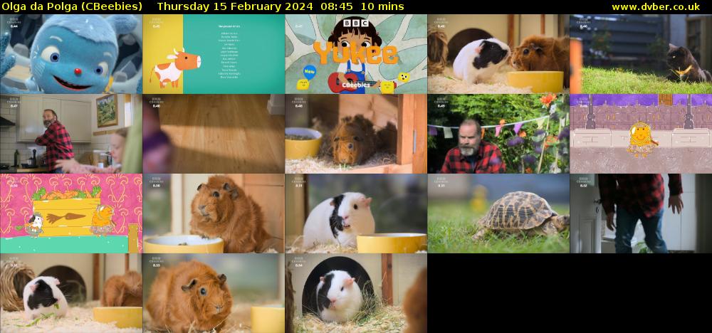 Olga da Polga (CBeebies) Thursday 15 February 2024 08:45 - 08:55