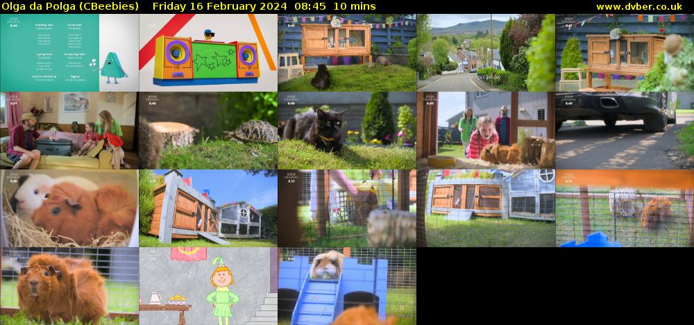 Olga da Polga (CBeebies) Friday 16 February 2024 08:45 - 08:55