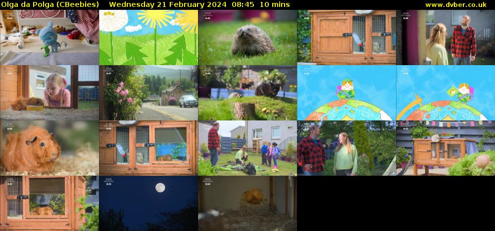Olga da Polga (CBeebies) Wednesday 21 February 2024 08:45 - 08:55