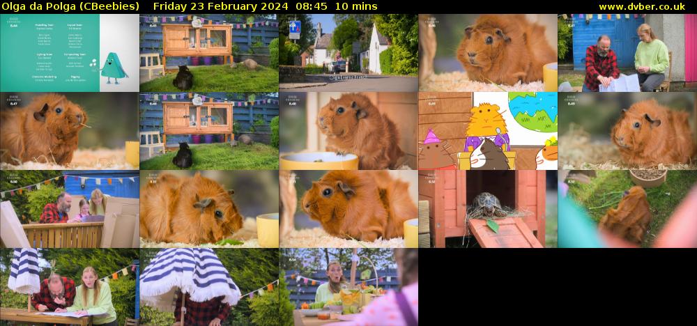 Olga da Polga (CBeebies) Friday 23 February 2024 08:45 - 08:55