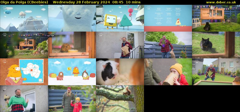 Olga da Polga (CBeebies) Wednesday 28 February 2024 08:45 - 08:55