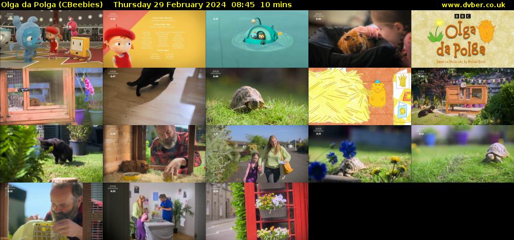Olga da Polga (CBeebies) Thursday 29 February 2024 08:45 - 08:55