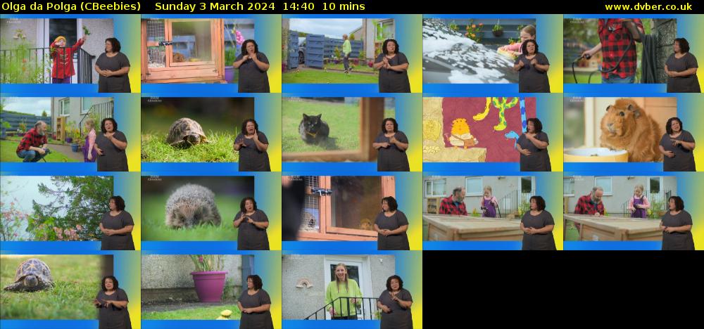 Olga da Polga (CBeebies) Sunday 3 March 2024 14:40 - 14:50