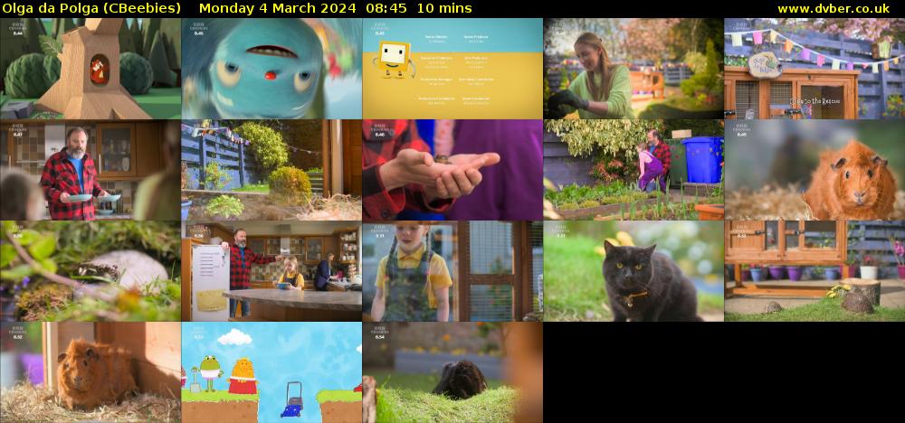 Olga da Polga (CBeebies) Monday 4 March 2024 08:45 - 08:55