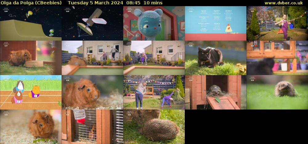 Olga da Polga (CBeebies) Tuesday 5 March 2024 08:45 - 08:55