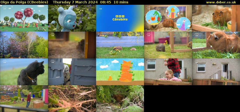 Olga da Polga (CBeebies) Thursday 7 March 2024 08:45 - 08:55