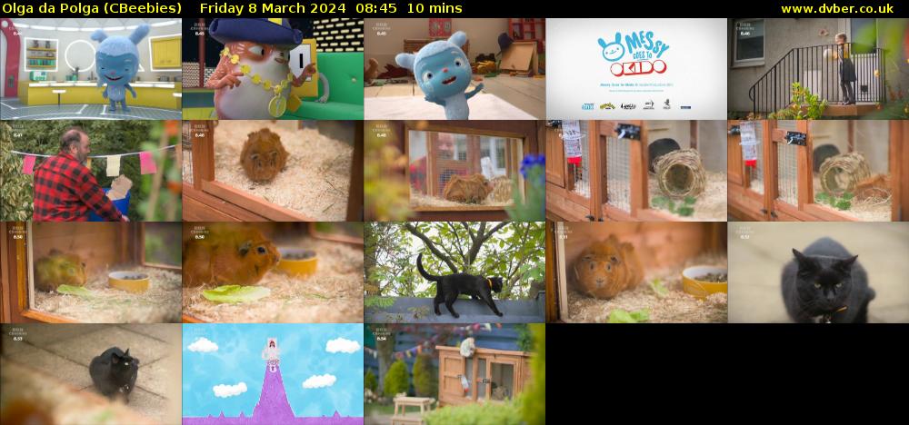 Olga da Polga (CBeebies) Friday 8 March 2024 08:45 - 08:55