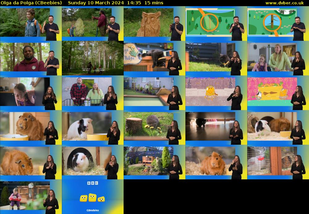 Olga da Polga (CBeebies) Sunday 10 March 2024 14:35 - 14:50