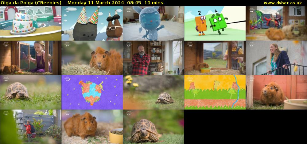 Olga da Polga (CBeebies) Monday 11 March 2024 08:45 - 08:55