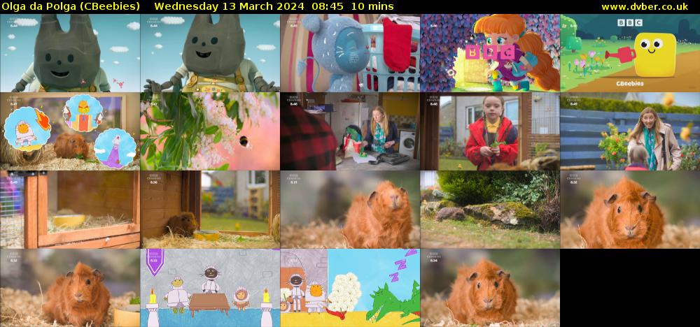 Olga da Polga (CBeebies) Wednesday 13 March 2024 08:45 - 08:55