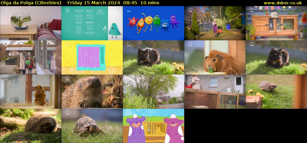 Olga da Polga (CBeebies) Friday 15 March 2024 08:45 - 08:55