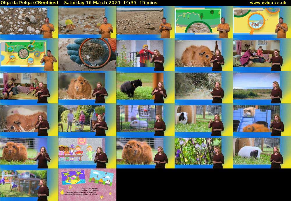 Olga da Polga (CBeebies) Saturday 16 March 2024 14:35 - 14:50