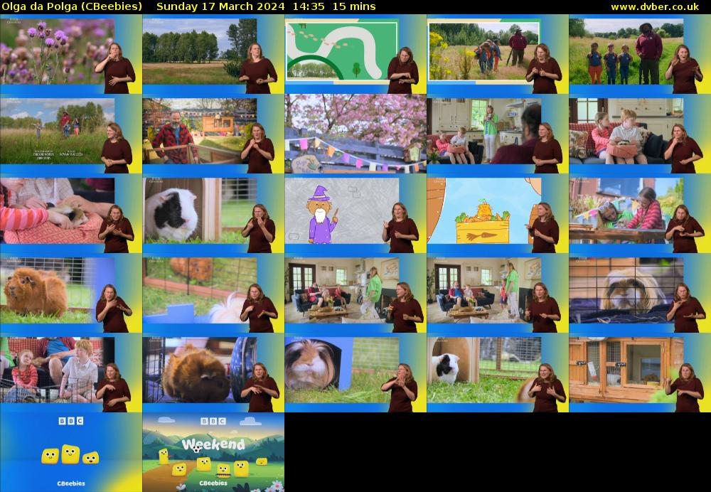 Olga da Polga (CBeebies) Sunday 17 March 2024 14:35 - 14:50