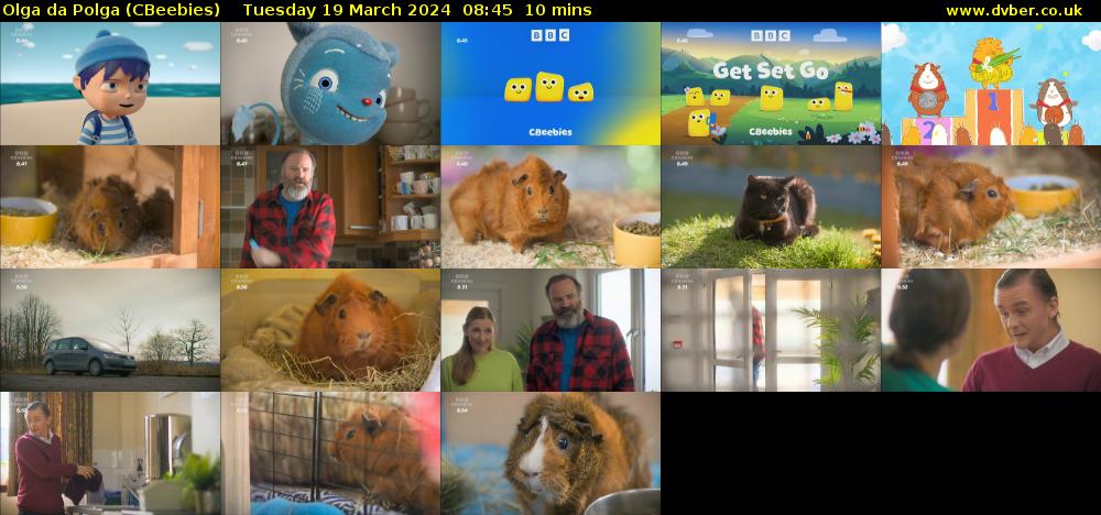 Olga da Polga (CBeebies) Tuesday 19 March 2024 08:45 - 08:55
