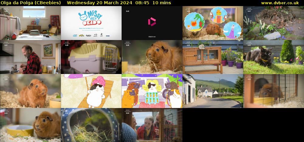 Olga da Polga (CBeebies) Wednesday 20 March 2024 08:45 - 08:55