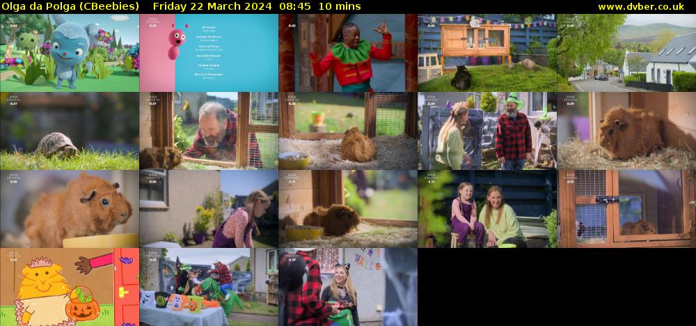 Olga da Polga (CBeebies) Friday 22 March 2024 08:45 - 08:55