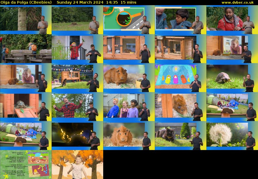 Olga da Polga (CBeebies) Sunday 24 March 2024 14:35 - 14:50