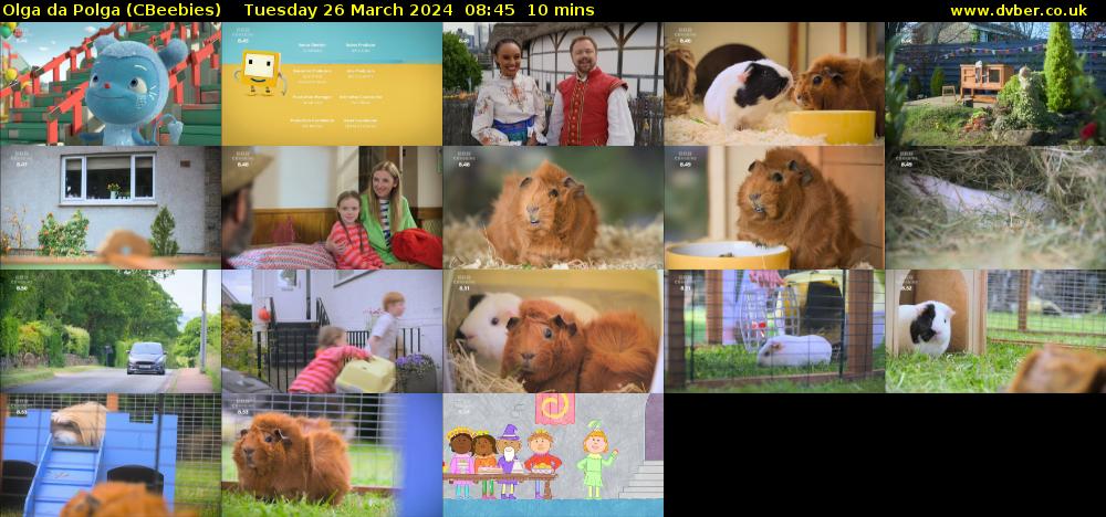 Olga da Polga (CBeebies) Tuesday 26 March 2024 08:45 - 08:55