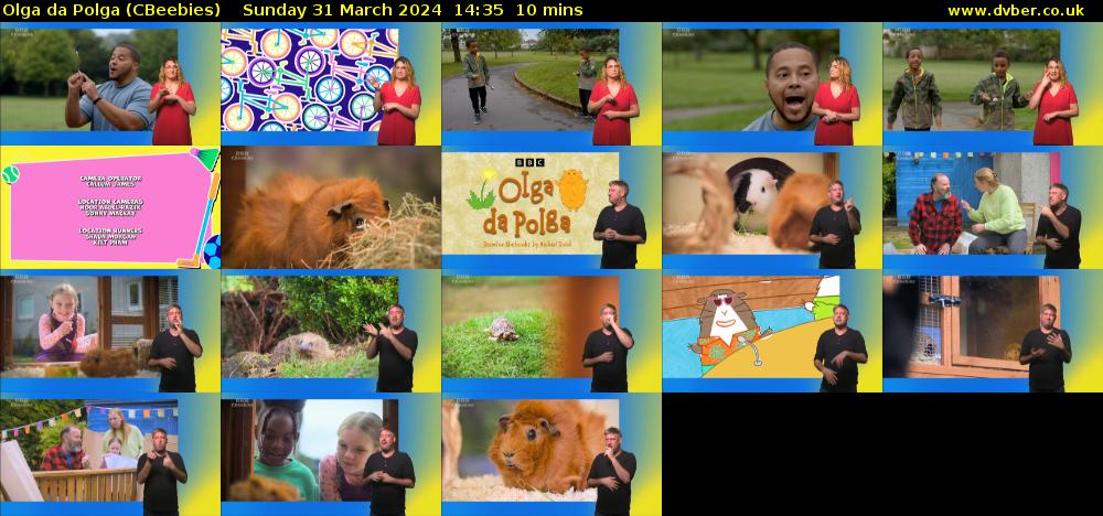 Olga da Polga (CBeebies) Sunday 31 March 2024 14:35 - 14:45