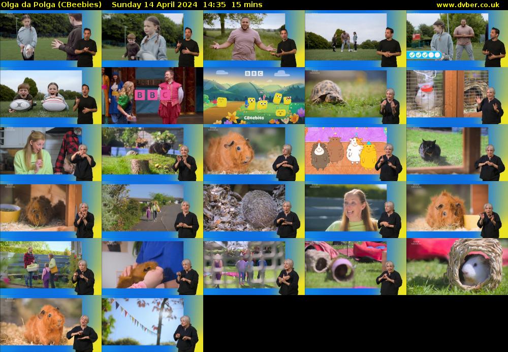 Olga da Polga (CBeebies) Sunday 14 April 2024 14:35 - 14:50