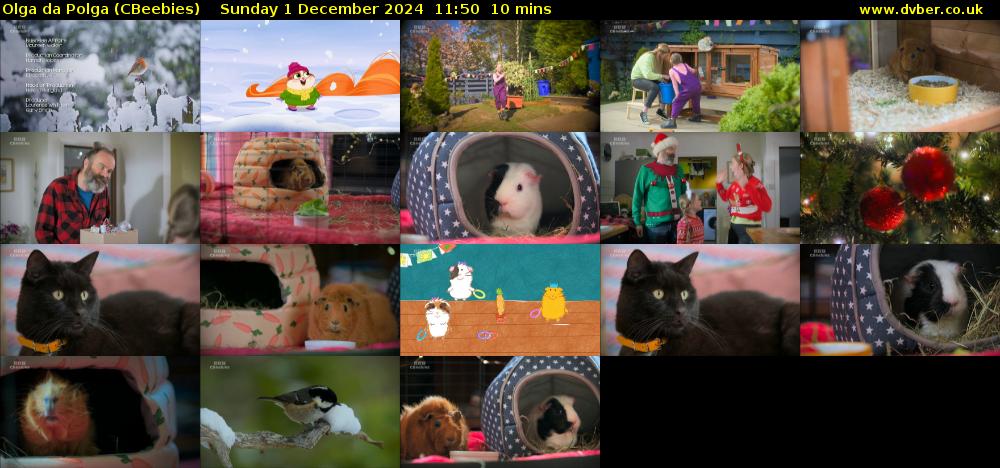 Olga da Polga (CBeebies) Sunday 1 December 2024 11:50 - 12:00