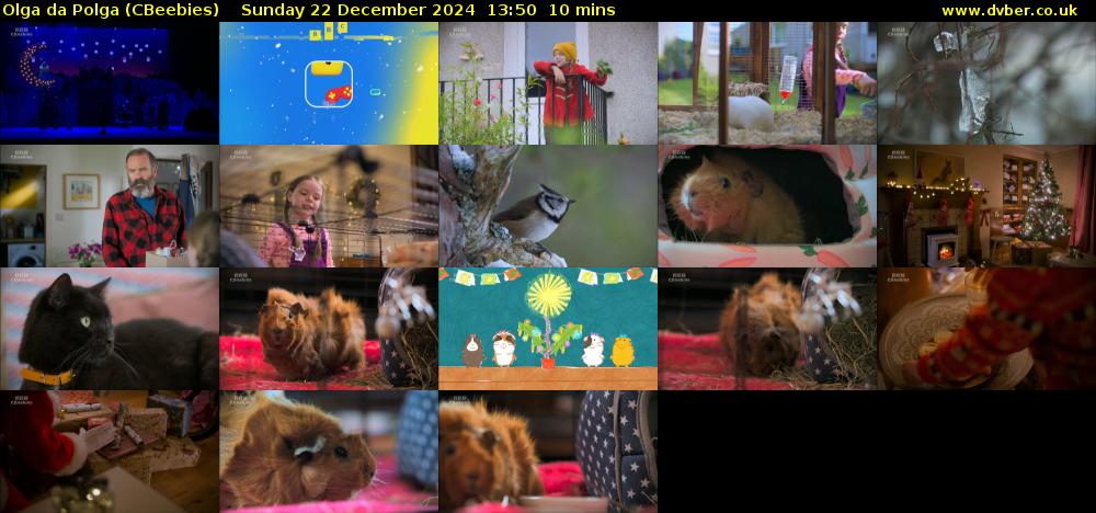 Olga da Polga (CBeebies) Sunday 22 December 2024 13:50 - 14:00