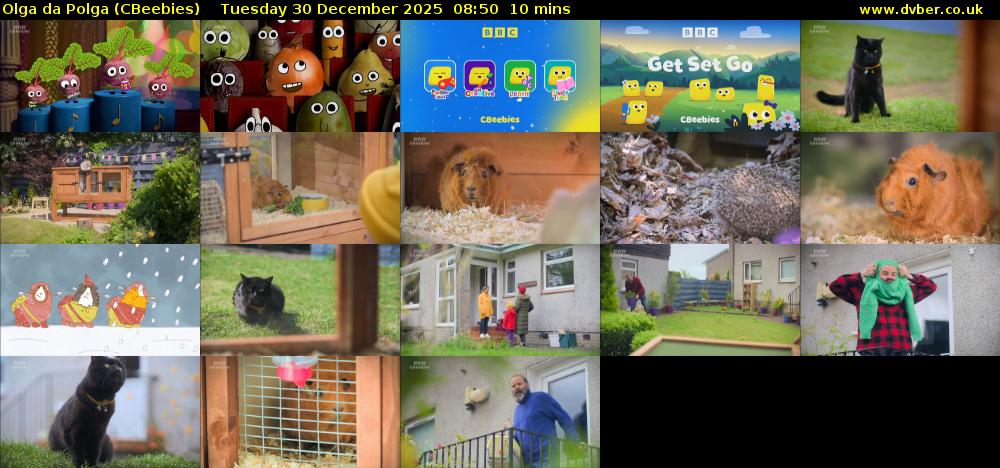 Olga da Polga (CBeebies) Tuesday 30 December 2025 08:50 - 09:00