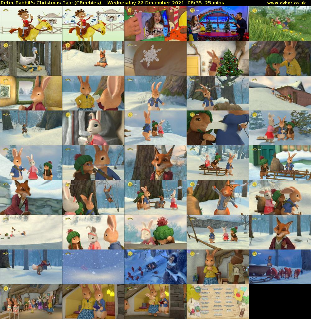 Peter Rabbit's Christmas Tale (CBeebies) Wednesday 22 December 2021 08:35 - 09:00