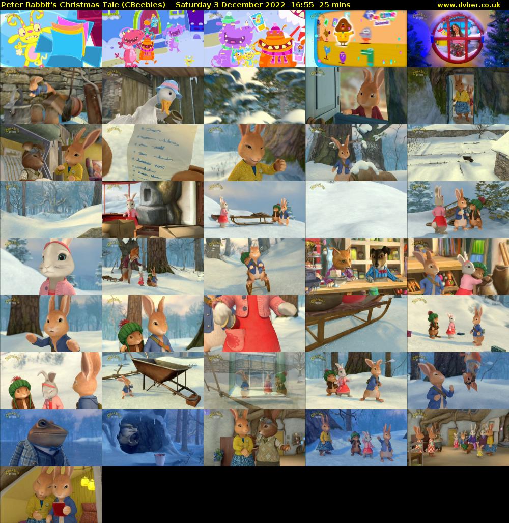 Peter Rabbit's Christmas Tale (CBeebies) Saturday 3 December 2022 16:55 - 17:20
