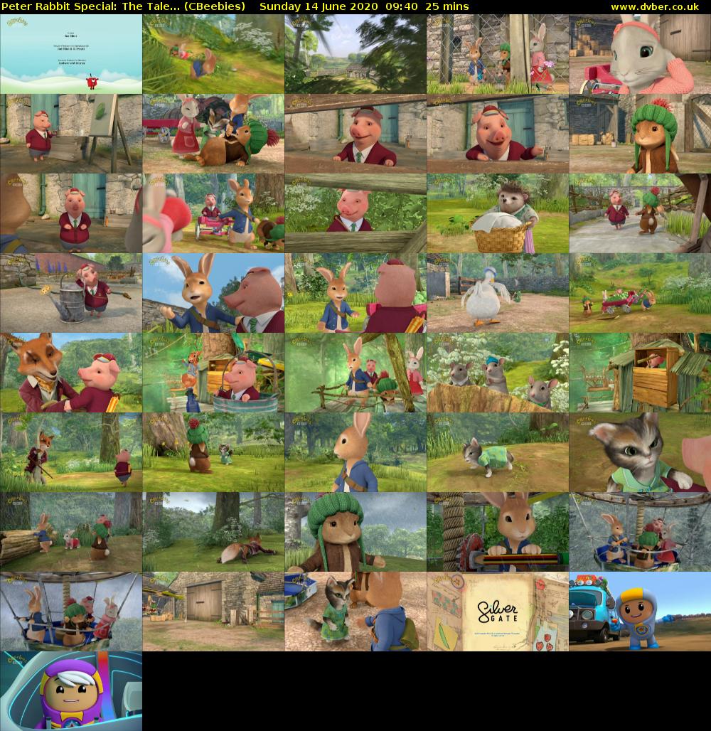 Peter Rabbit Special: The Tale... (CBeebies) Sunday 14 June 2020 09:40 - 10:05