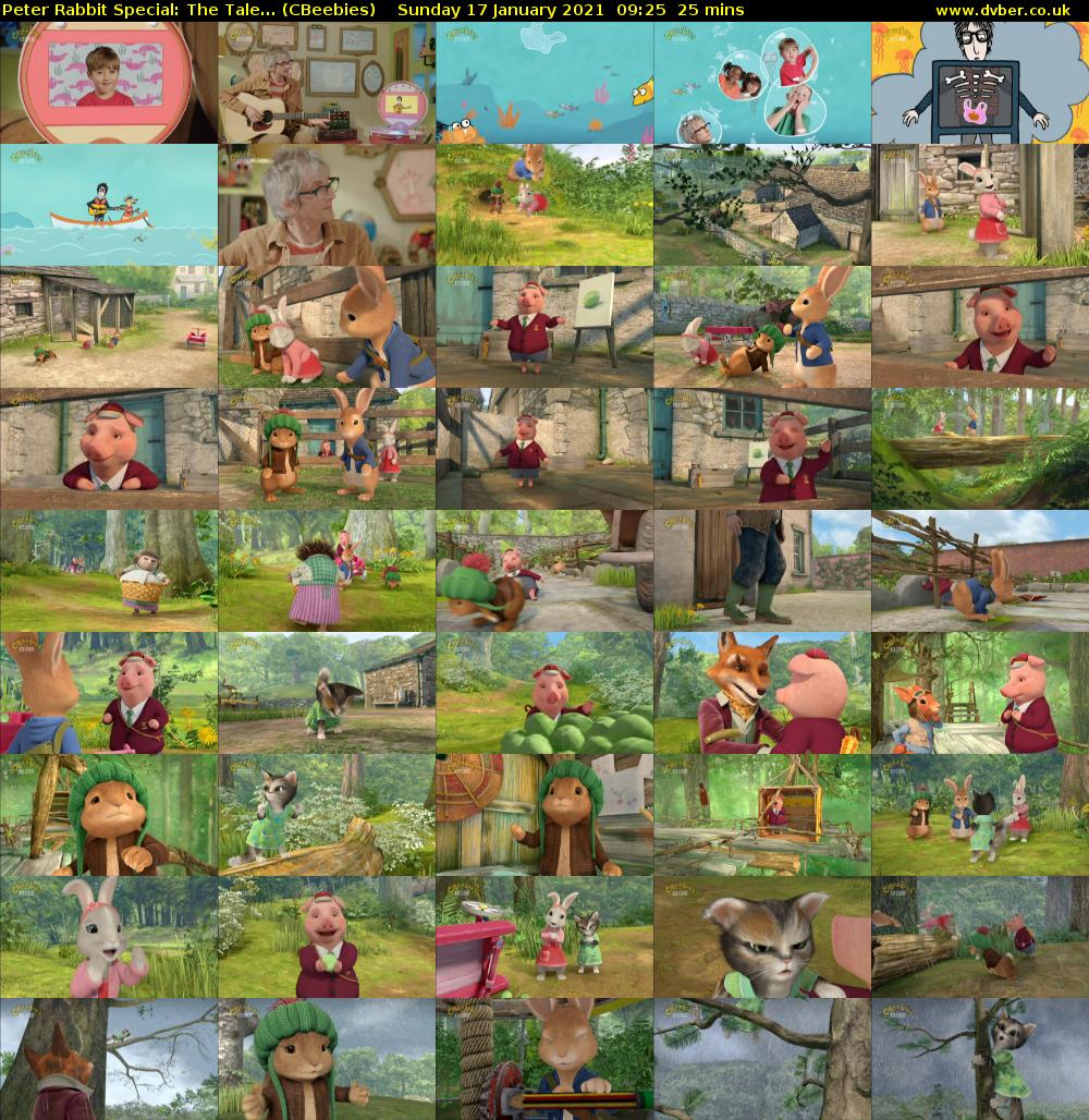 Peter Rabbit Special: The Tale... (CBeebies) Sunday 17 January 2021 09:25 - 09:50
