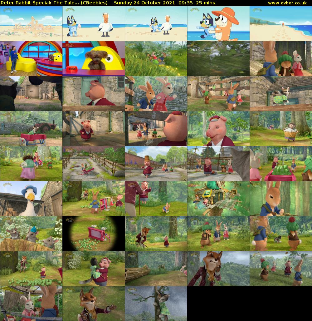 Peter Rabbit Special: The Tale... (CBeebies) Sunday 24 October 2021 09:35 - 10:00
