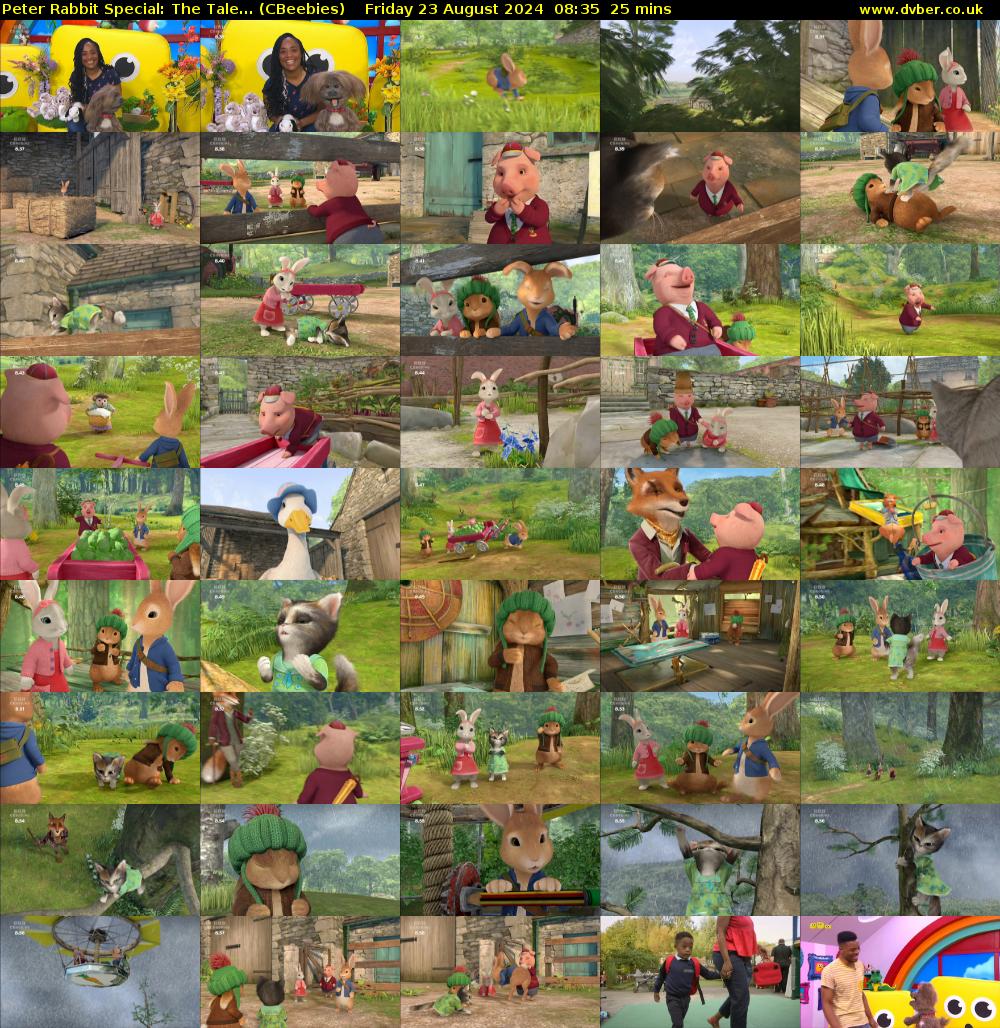 Peter Rabbit Special: The Tale... (CBeebies) Friday 23 August 2024 08:35 - 09:00