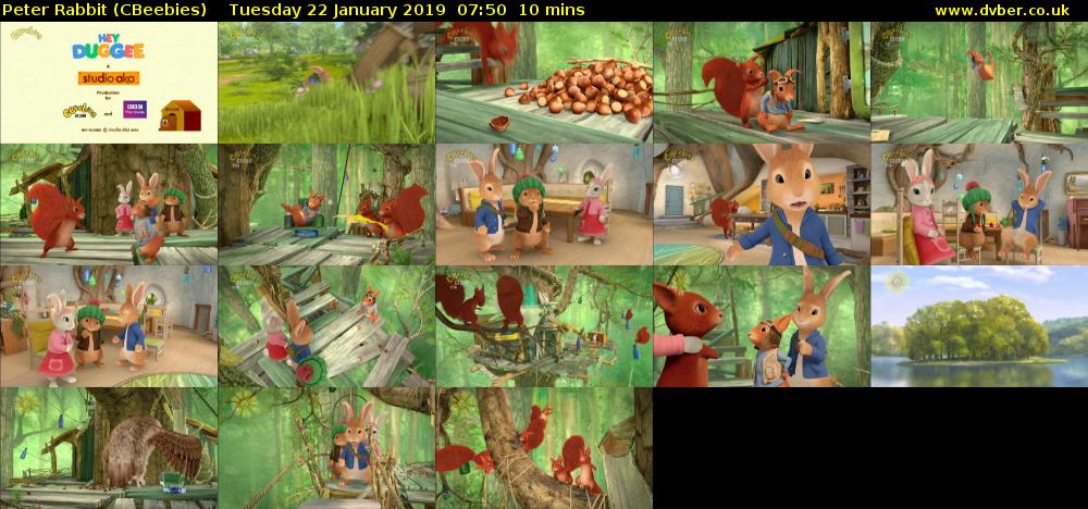 Peter Rabbit (CBeebies) Tuesday 22 January 2019 07:50 - 08:00