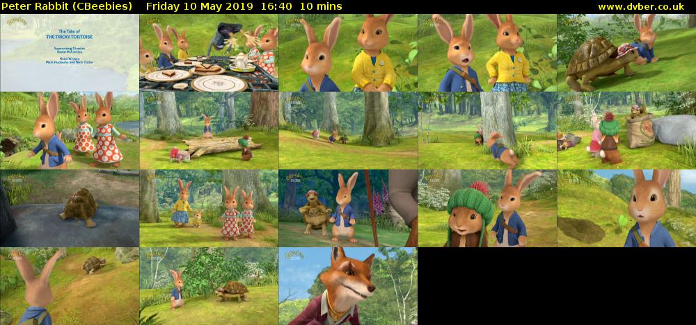 Peter Rabbit (CBeebies) - 2019-05-10-1640