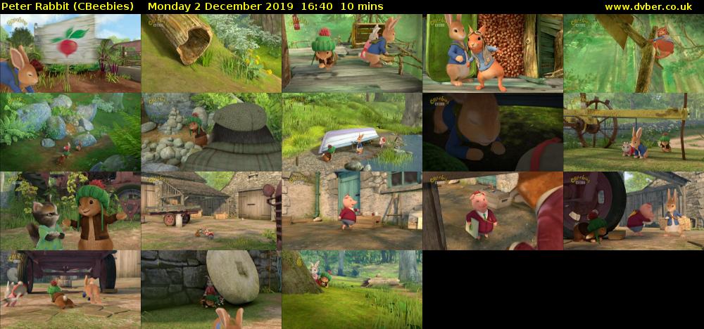 Peter Rabbit (CBeebies) - 2019-12-02-1640
