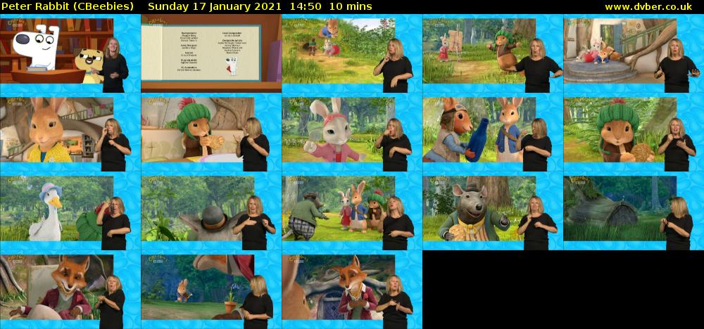 Peter Rabbit (CBeebies) - 2021-01-17-1450