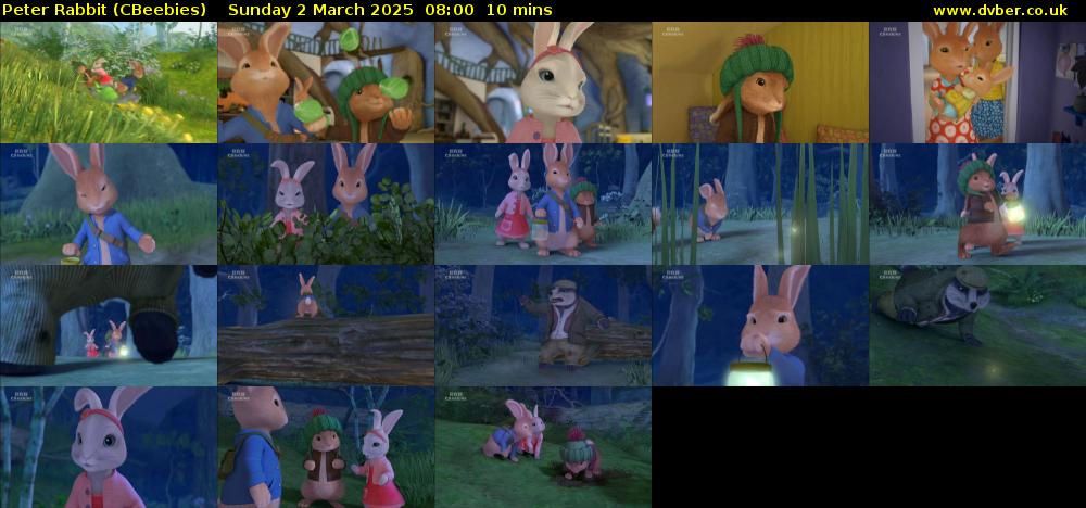 Peter Rabbit (CBeebies) Sunday 2 March 2025 08:00 - 08:10