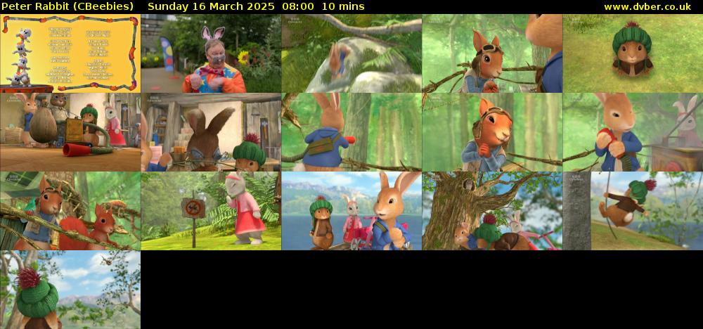 Peter Rabbit (CBeebies) Sunday 16 March 2025 08:00 - 08:10