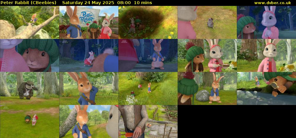 Peter Rabbit (CBeebies) Saturday 24 May 2025 08:00 - 08:10