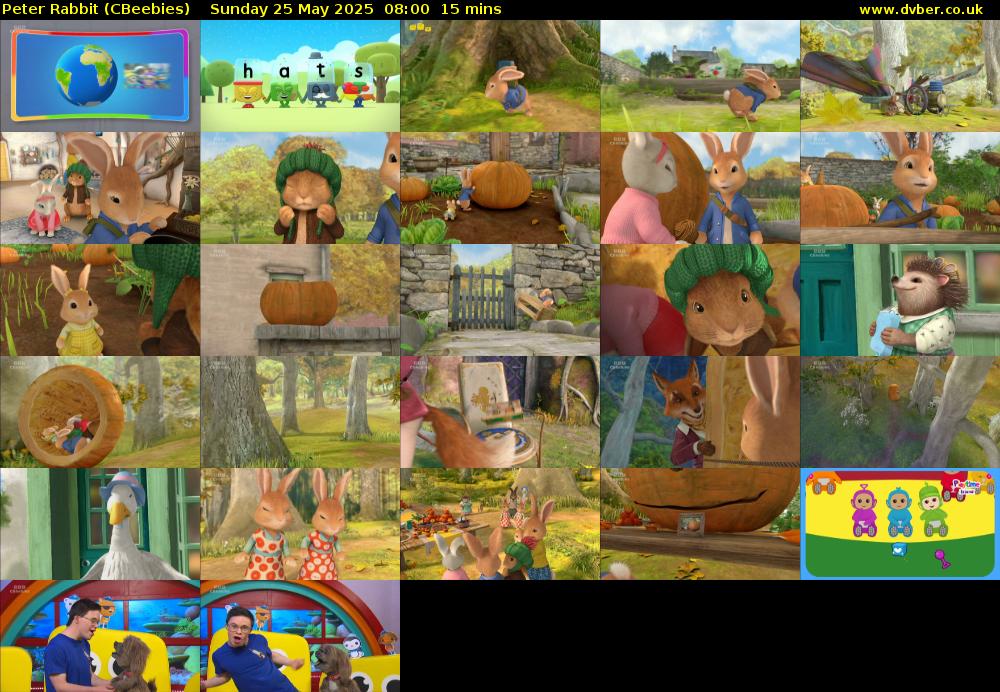 Peter Rabbit (CBeebies) Sunday 25 May 2025 08:00 - 08:15