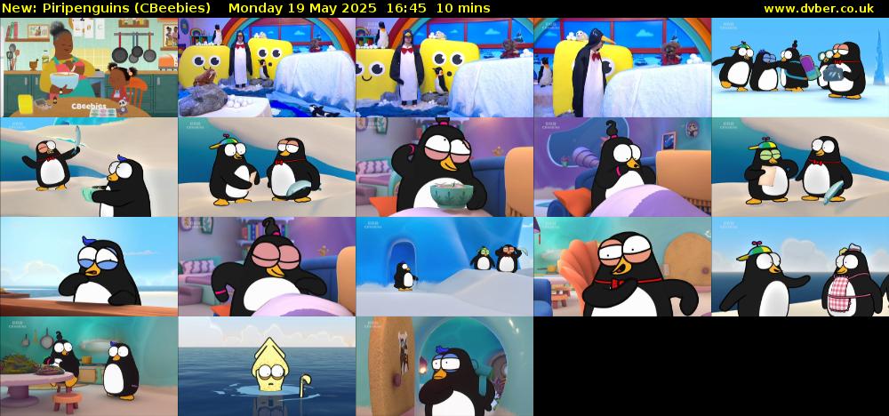 Piripenguins (CBeebies) Monday 19 May 2025 16:45 - 16:55