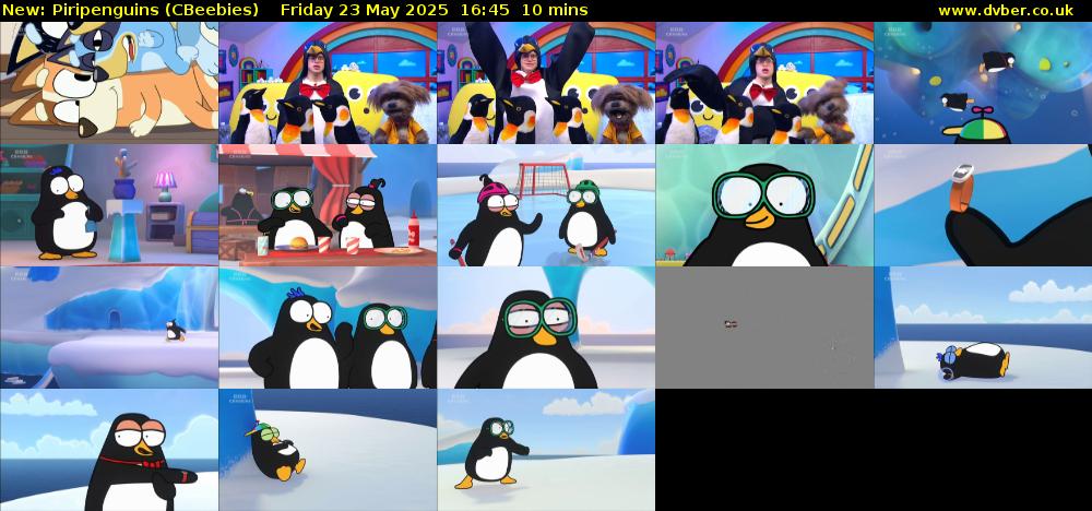 Piripenguins (CBeebies) Friday 23 May 2025 16:45 - 16:55