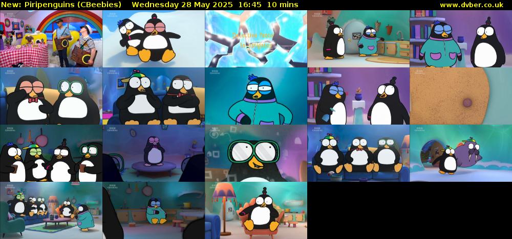 Piripenguins (CBeebies) Wednesday 28 May 2025 16:45 - 16:55
